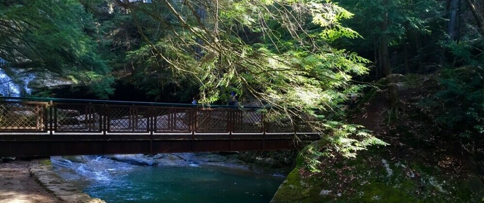 Bridge at Cedar Falls in Hocking Hills