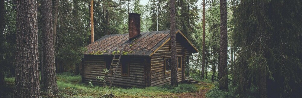 Log cabin in the woods