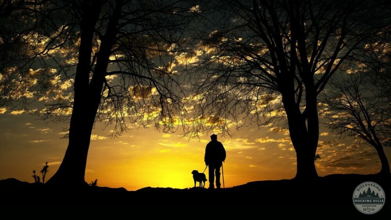 A silhouette of a man and his dog on a leash standing between two trees watching a sunset.