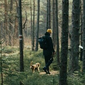Person hiking through forest with their dog on a leash