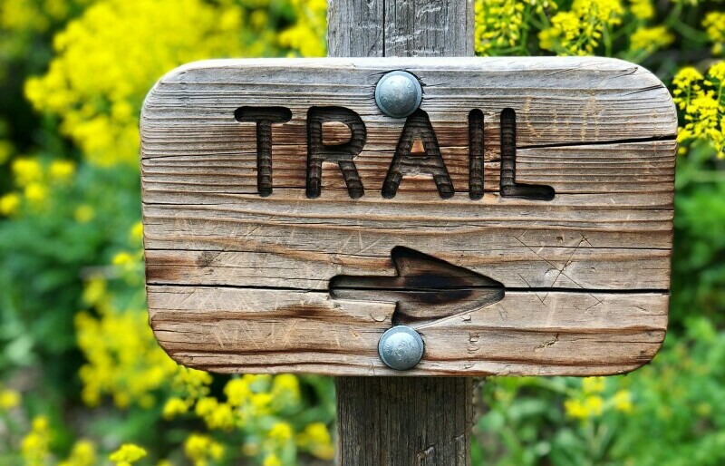 Wooden sign that says TRAIL with an arrow pointing right
